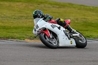 PJ-Motorsport-2019;anglesey-no-limits-trackday;anglesey-photographs;anglesey-trackday-photographs;enduro-digital-images;event-digital-images;eventdigitalimages;no-limits-trackdays;peter-wileman-photography;racing-digital-images;trac-mon;trackday-digital-images;trackday-photos;ty-croes